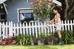 Jardins épais autour de votre ligne de clôture peuvent empêcher votre chien de creuser.