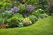 Utilisez le répulsif sur tout votre cour et jardin.
