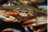 Rapports collections de crabe permet à l'Etat de contrôler les populations locales.