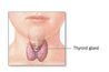 Localisation de la thyroïde