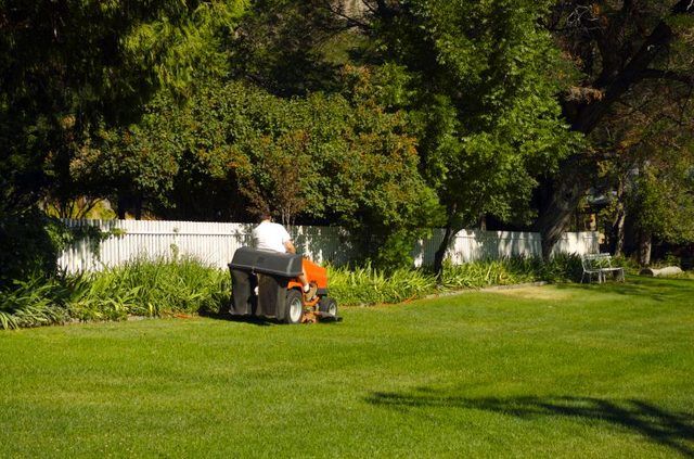 Un homme de tondre sa pelouse sur son tondeuse autoportée.