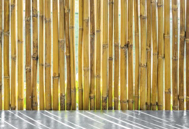 Clôture de bambou.
